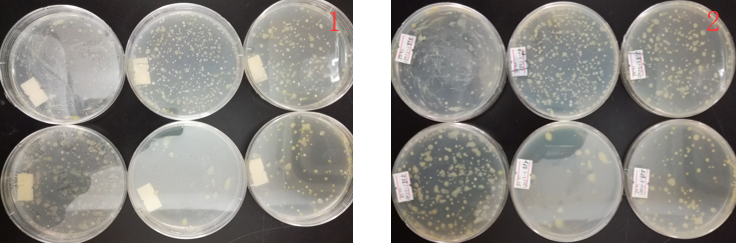 “超聲波處理對(duì)稻谷表面微生物的影響”發(fā)表論文啦??！