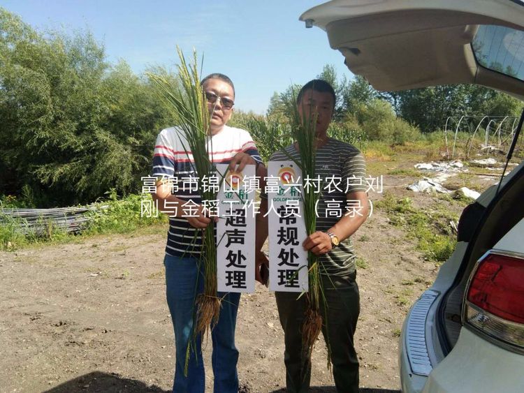 黑龍江雙鴨山市與佳木斯市的超聲波玉米、水稻種植田調(diào)查