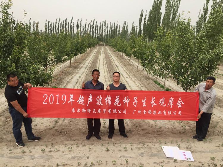 新疆省庫爾勒市棉花種植田間調(diào)查觀摩會(huì)
