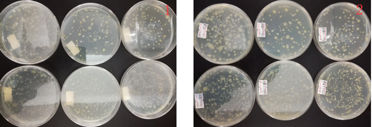 “超聲波處理對(duì)稻谷表面微生物的影響”發(fā)表論文啦??！