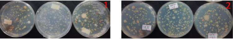 “超聲波處理對(duì)稻谷表面微生物的影響”發(fā)表論文啦??！