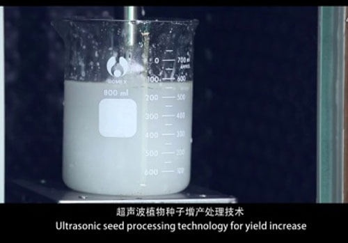 金稻植物種子增產(chǎn)處理機(jī)宣傳片